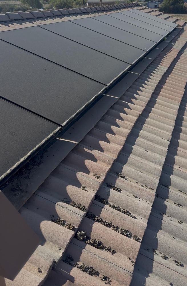 Pigeon Proofing job in Adelanto, California