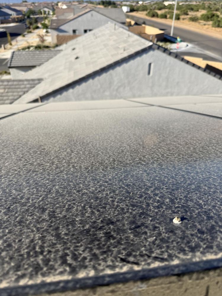 Pigeon Proofing job in Apple Valley, California
