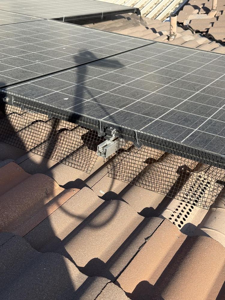 Pigeon Proofing job in Oak Hills, California