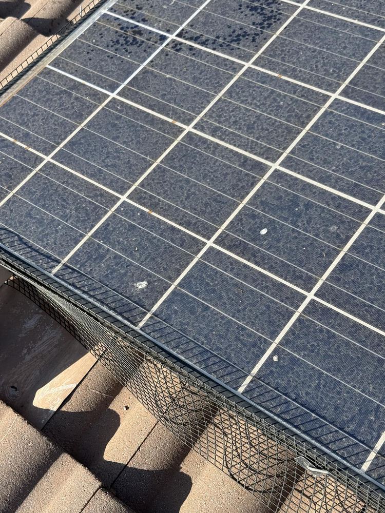 Pigeon Proofing job in Oak Hills, California