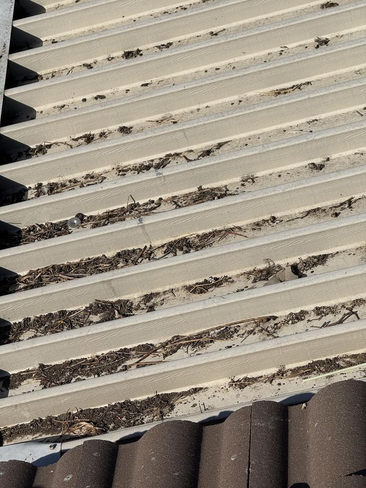 Pigeon Proofing job in Oak Hills, California