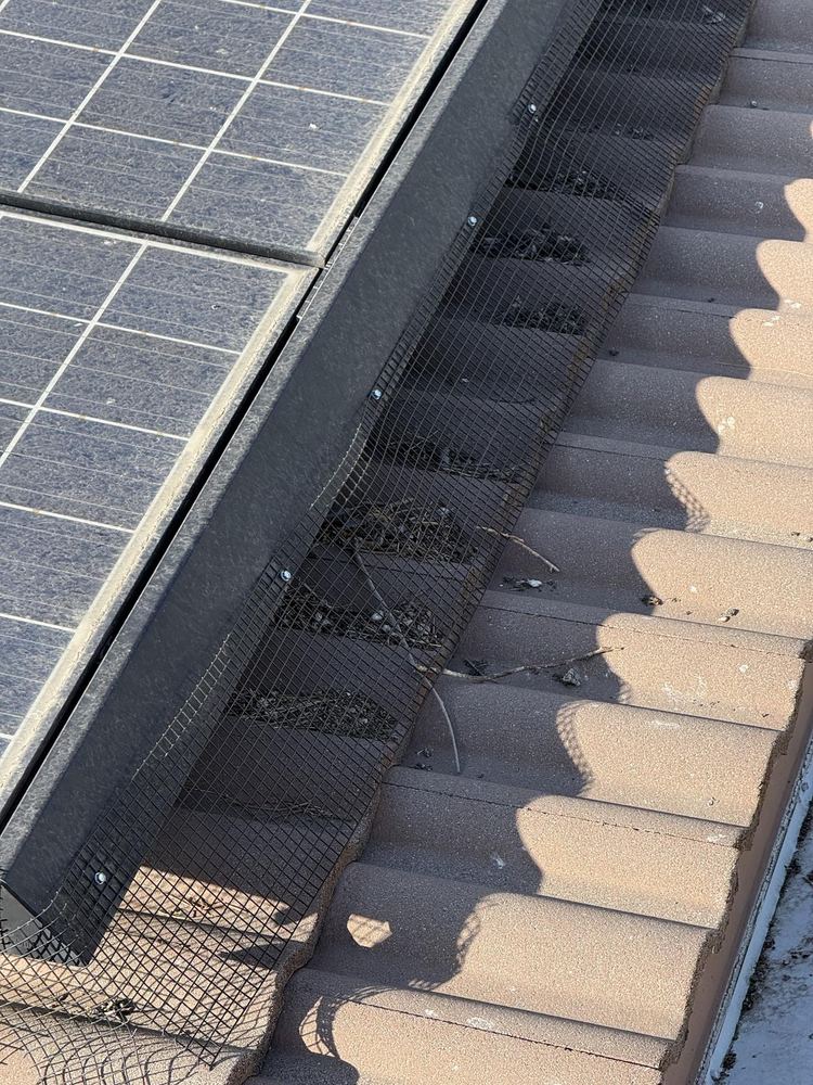 Pigeon Proofing job in Oak Hills, California