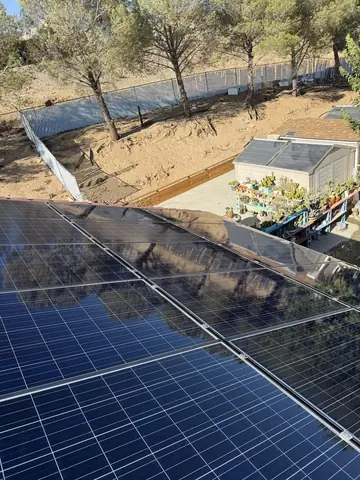 Clean solar panels reflecting pines in Oak Hills